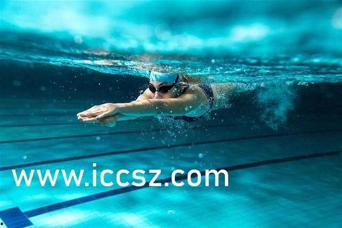 英国媒体爆料游泳视频,揭秘运动员训练幕后  第1张